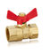 Durable professional competitive price brass gate valve with drainer brass 1/2 Inch ball valve